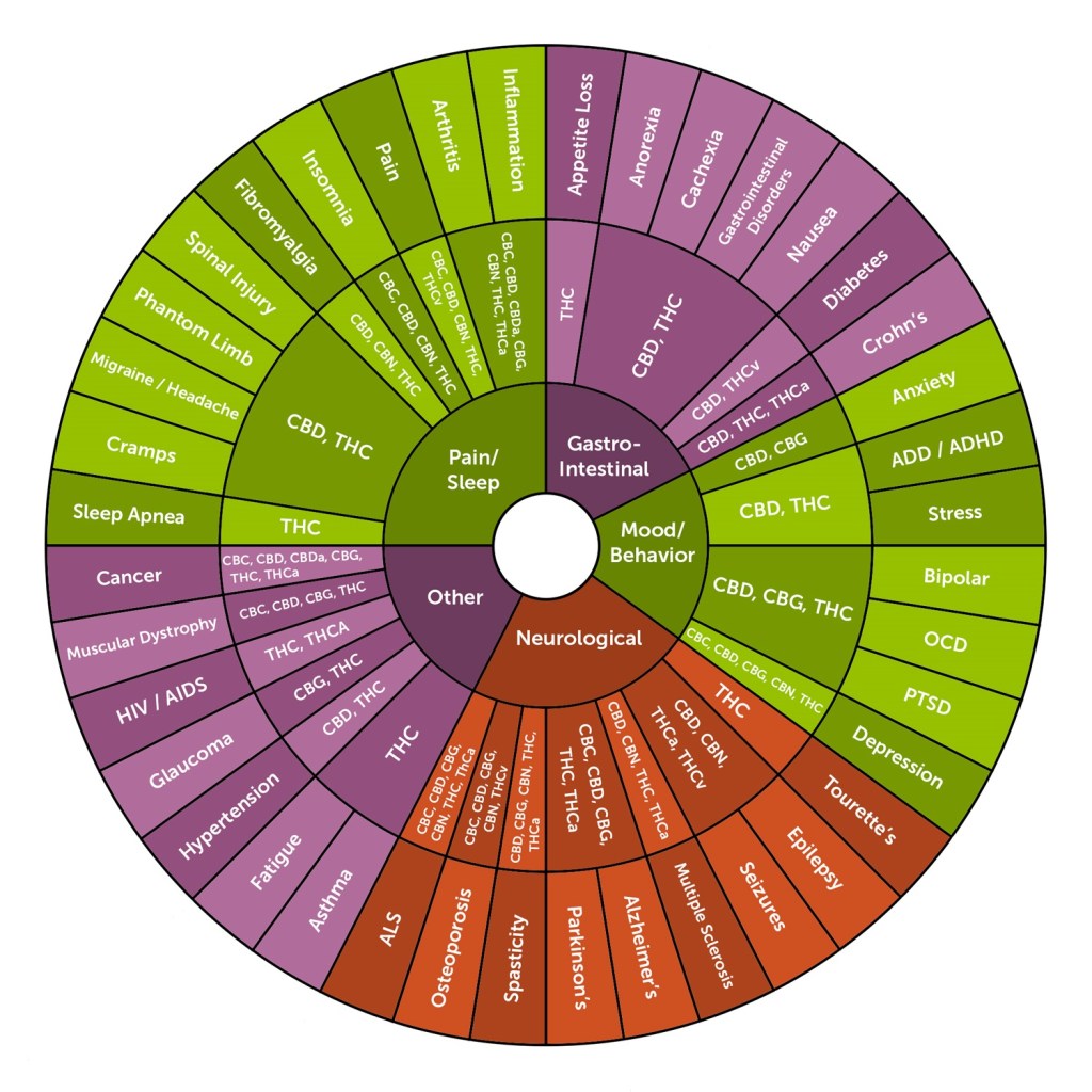 plue6ndetsirqg7y9hkf_cannabinoid-wheel-(final)---english